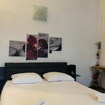 Lejla * Sarajevo